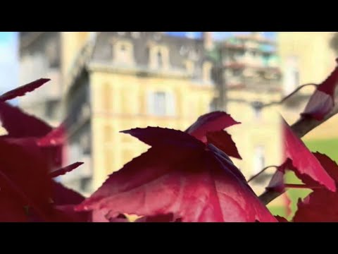 A magical autumn day at the Château