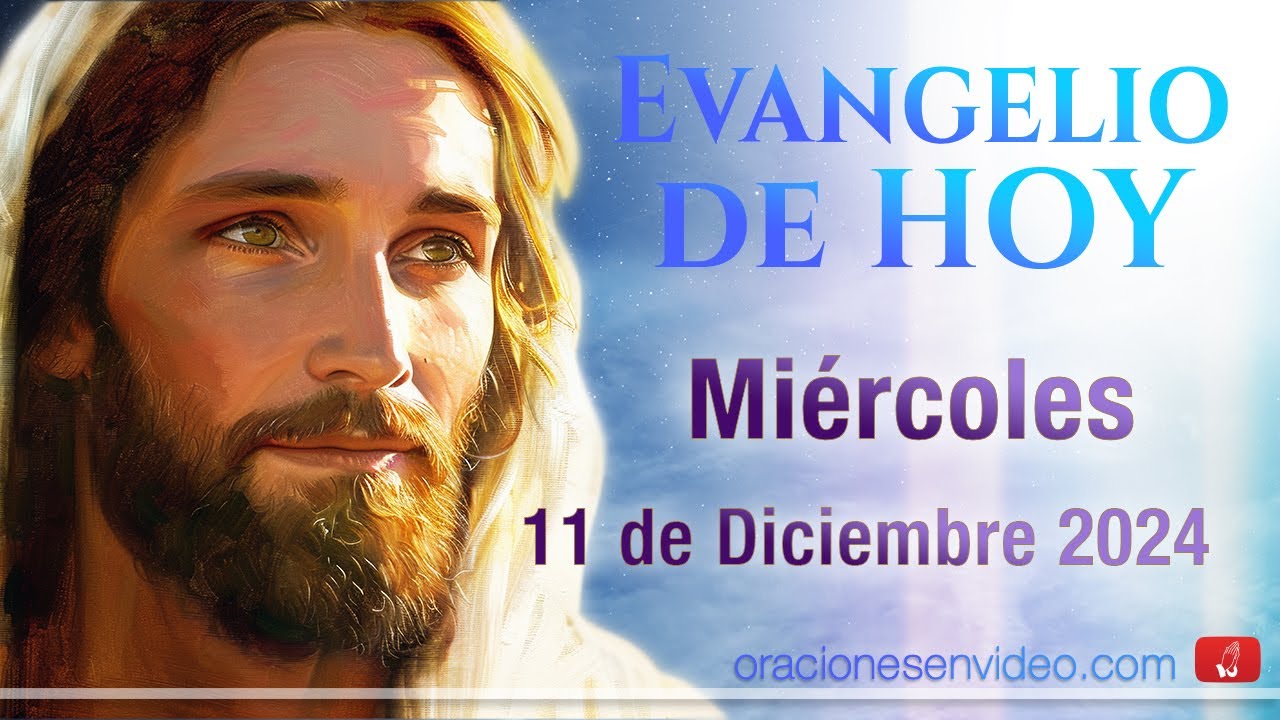 Evangelio de HOY. Miércoles 11 de diciembre 2024 Mt 11,28-30