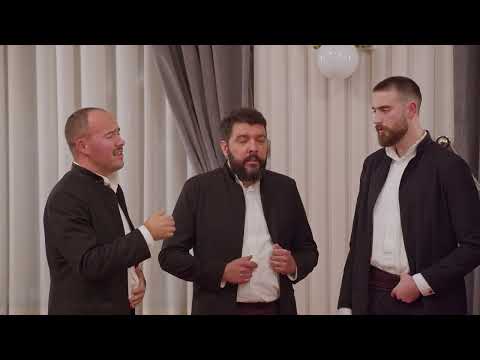 Klapa Bošket - Širi grone, jablane