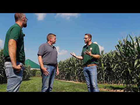 Teilflächenspezifische Aussaat von Mais