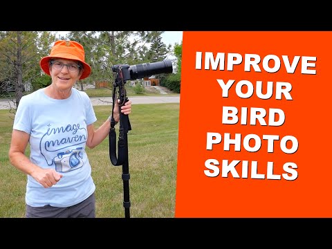 Mastering Bird Photography: Perfect Your Skills!