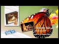 Aref jaman - Alfarasha | عارف جمن - الفراشة - نغمات يمنية خليجية على آلة العود 2