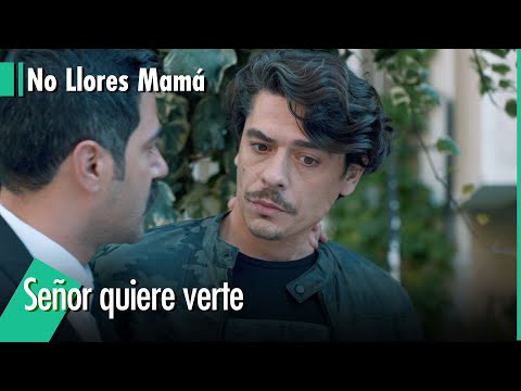 El fotógrafo fue buscado - No LLores Mamá