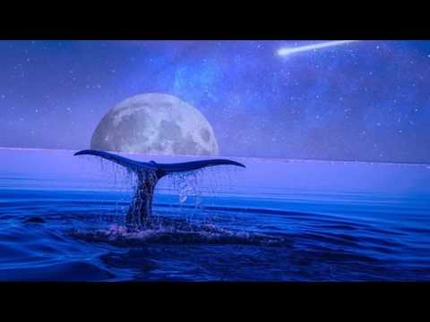 Massimo Trotta: "Bringing up colours" - al sax tenore: Pierpaolo Iacopini