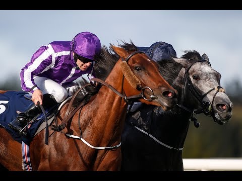 Hydrangea - Coolmore Stud Fastnet Rock Matron Stakes (2017)