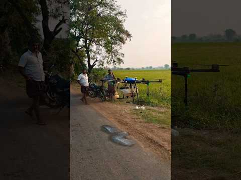 Agriculture spraying drone spraying paddy field #youtubeshorts #drone #shorts #short #Green world 🌍