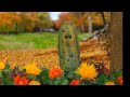 Sesame Street Season 55 Episode 19 Letter Go Getters But Only When Pickle