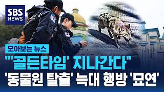 '골든타임' 지나간다..'동물원 탈출' 늑대 '늑구' 행방묘연 사흘째