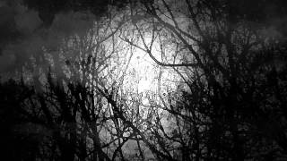 Robin Guthrie - Darkness Of The Heart