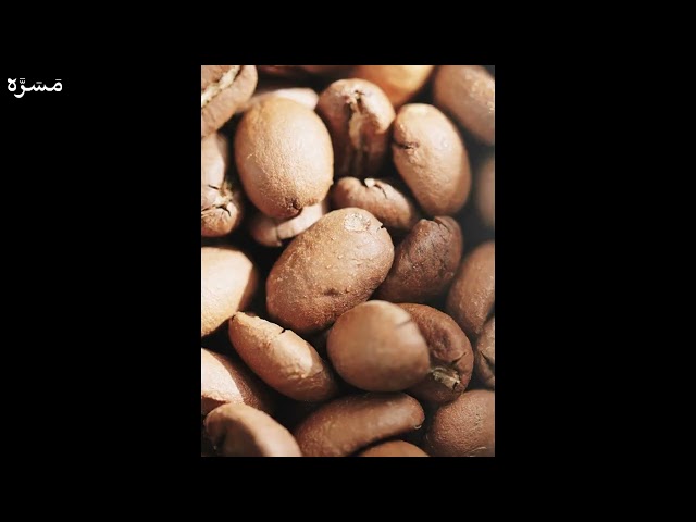 صحن دوزنق MHW-3Bomber I 50g