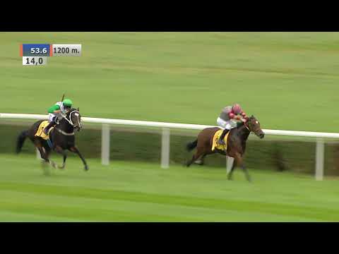 11.10.2020 (D39; G3; Tor: 3,4; 10°C) Nagroda Cardei - (kat.B)