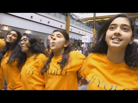 Vyasa International School