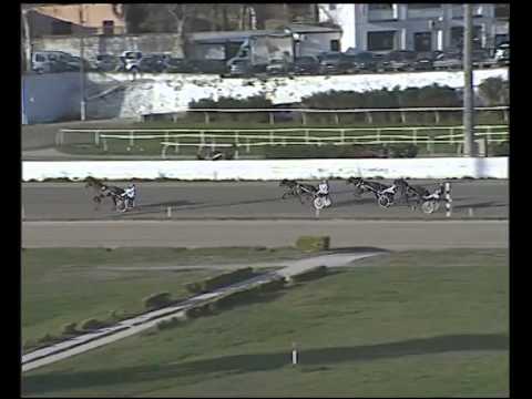 Trotto 23/12/2014 - prova di qualifica