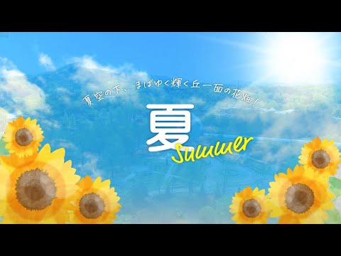 とっとり花回廊 夏