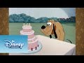 La Fiesta De Pluto A Reír Con Mickey