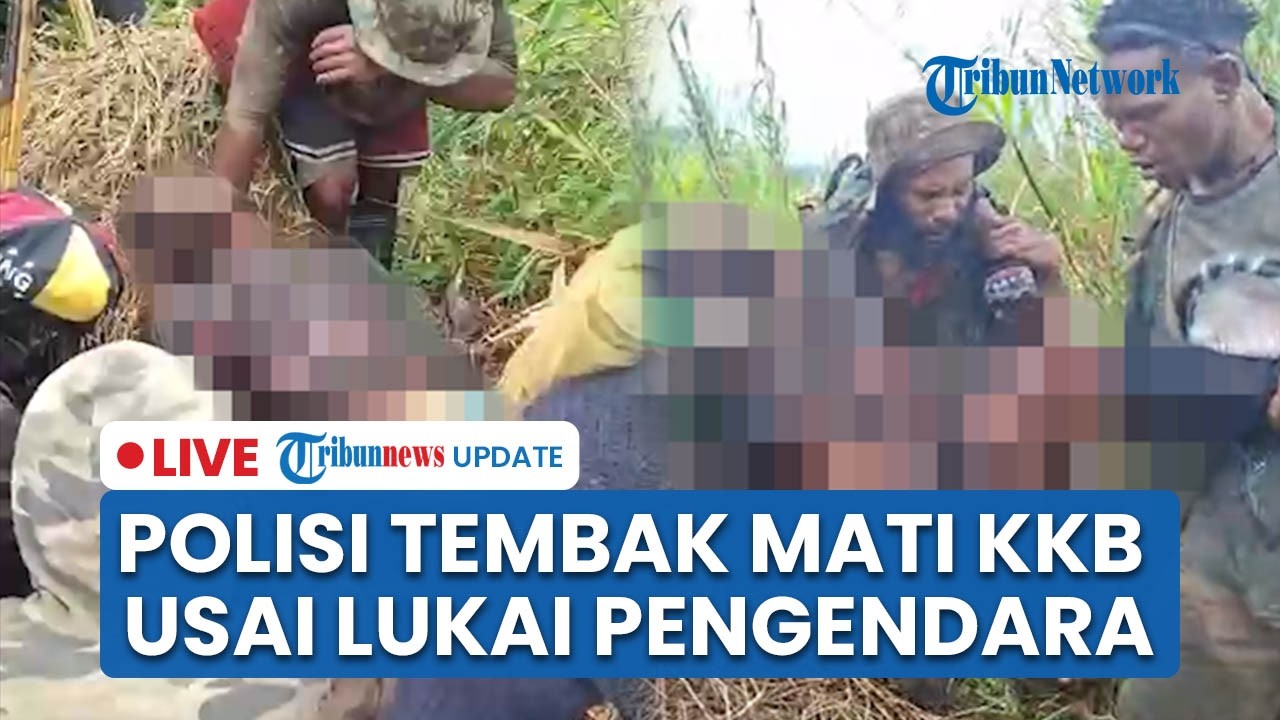 LIVE: Anggota KKB Tewas Ditembak Polisi seusai Lukai Pengendara di Jalanan Provinsi Papua Tengah