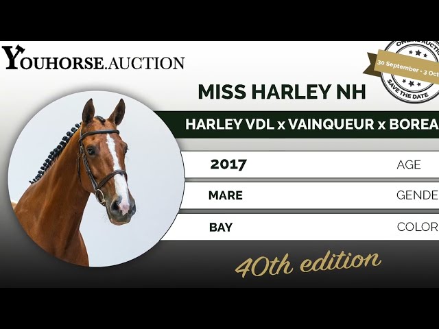 Miss Harley NH