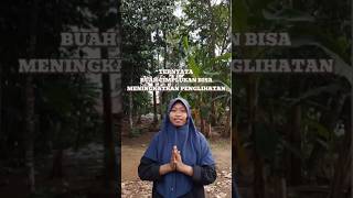 Download lagu “Heboh! Khasiat Ciplukan Bisa Turunkan Gula Darah dan Kolesterol” mp3 Download lagu “Heboh! Khasiat Ciplukan Bisa Turunkan Gula Darah dan Kolesterol” mp3