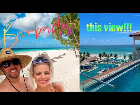 Videos del Sandals Royal Barbados 5★ en Christ Church, Barbados
Ver Más
Ver
Precios
17
Cerrar
Consulta por Whatsapp 🇦🇷
Booking
Tripadvisor
Expedia
Agoda
Travelocity
Orbitz
Priceline
Trip
Skyscanner
Despegar
Kayak
Hoteles
Bestday
Destinia
Trivago
Lastminute
Tui