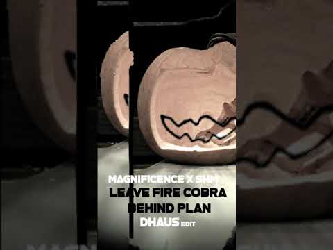 Magnificence x Swedish House Mafia x Drake - Leave Fire Cobra Behind Plan (Dhaus Edit)