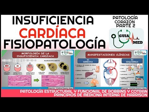 HEART FAILURE PATHOPHYSIOLOGY | GuiaMed