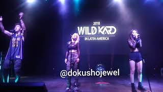 180915 [FANCAM] WILD KARD in ARGENTINA - MOONLIGHT