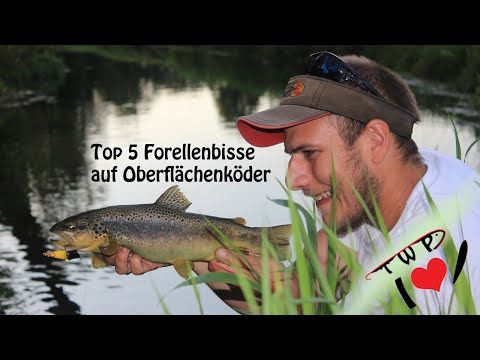 Die 5 spektakulärsten Forellenbisse auf Oberflächenköder