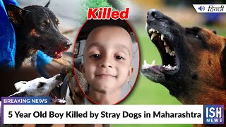 5 Year Old Boy Killed by Stray Dogs in Maharashtra