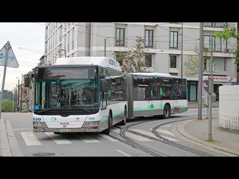 STCP 1109 (audio recording - collab)