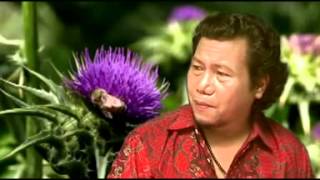 Download lagu ANGGI NAJOGI mp3