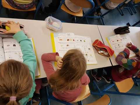 Une journée type au CP