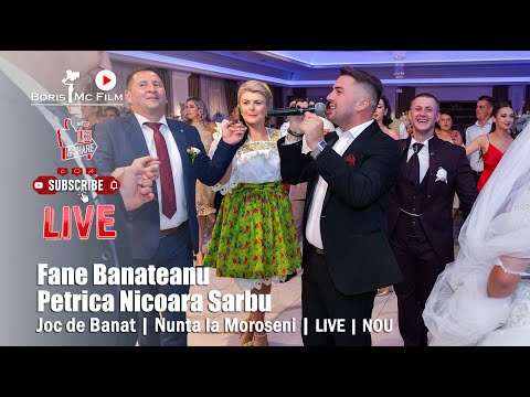 Fane Banateanu | Petrica Nicoara Sarbu - Joc de Banat | LIVE | Nunta la Moroseni