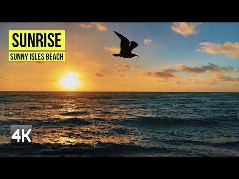 4K Beautiful sunrise in Sunny Isles Beach Florida USA|Ocean waves with seagulls nature beach sounds