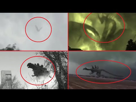 5 Godzilla Characters Caught on Camera & Spotted in Real Life 2