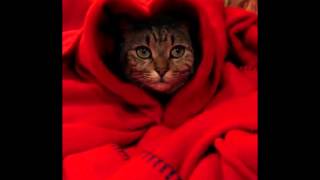 Saint Etienne- Like a motorway