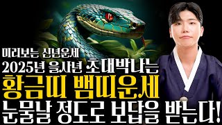 🌟2025년 을사년 무조건 대박나는 뱀띠운세🌟 신점으로 뽑은 2025년 최고의 띠 뱀띠운세! 눈물날 정도로 보답받습니다! 53년생 65년생 77년생 89년생 01년생 뱀띠 운세