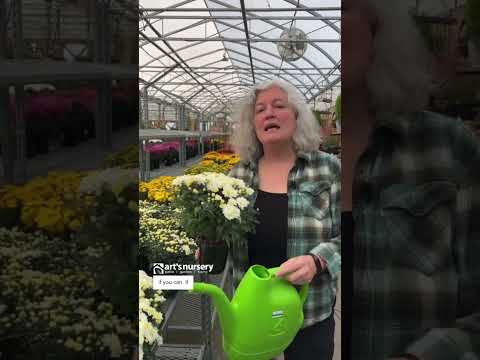 母親の世話について知っておくべきこと