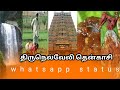 Tirunelveli Tenkasi Whatsapp Status திருநெல்வேலி தென்காசி Wh