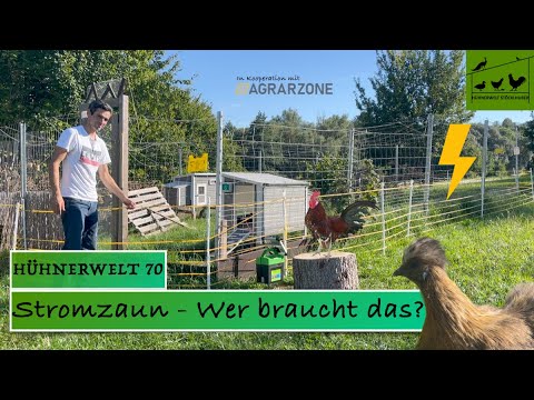Hühnerwelt 70 ⚡️ Elektrozaun für die Hühnerhaltung - Wer braucht das und wie geht das?