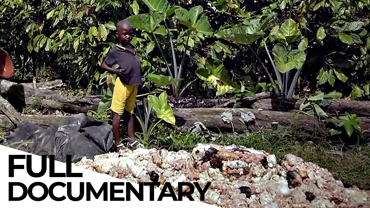 How the Chocolate Industry Still Profits from Child Labor