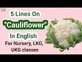 5 Lines On Cauliflower For Kids Essay On Cauliflower Speech On Cauliflower CauliflowerSpeech