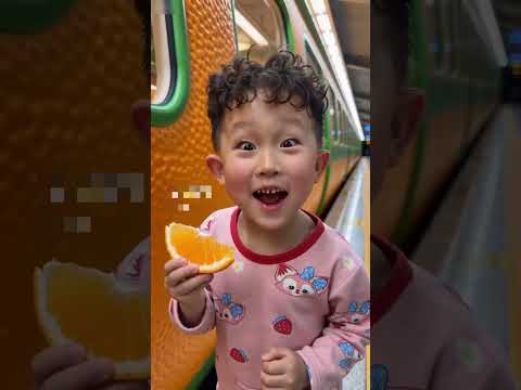 Orange train 🍊🤣  #Catsoftiktok#CatLovers #cat #cute #FunnyCats#catcartoon#fyp#catshorts