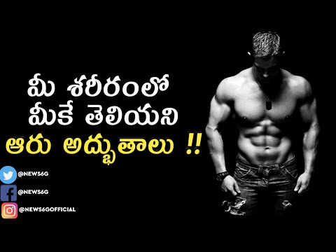 Unknown Facts About Human Body Telugu  Amazing Interesting Scientific Unbelievable Organ