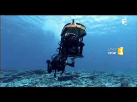 Patitifa - Tara, l'odyssée du corail - 05/06/2017