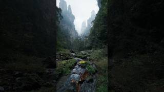 Download lagu I found AVATAR in REAL LIFE! mp3