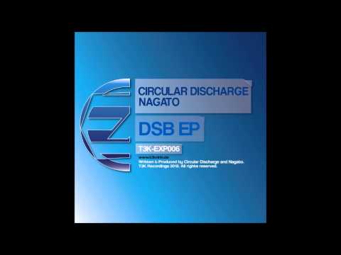 T3K-EXP006: Circular Discharge - "Mistake"