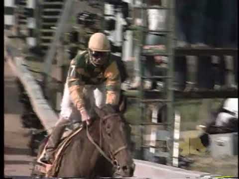 CHRHF 2017 Inductee - South Ocean