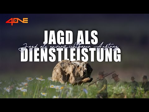 Video-Vorschau