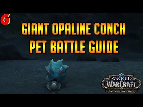 Giant Opaline Conch Pet Battle Guide - BFA