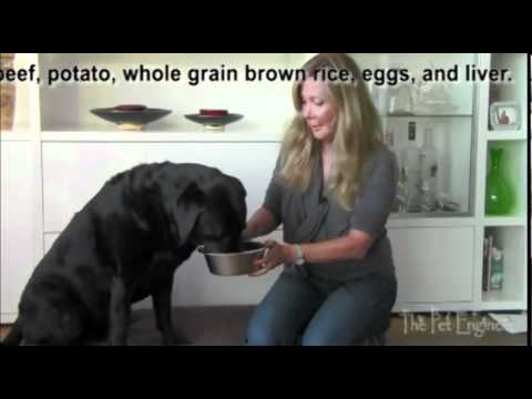 download lagu mp3 mp4 My Perfect Pet Raw Dog Food, download lagu My Perfect Pet Raw Dog Food gratis, unduh video klip My Perfect Pet Raw Dog Food